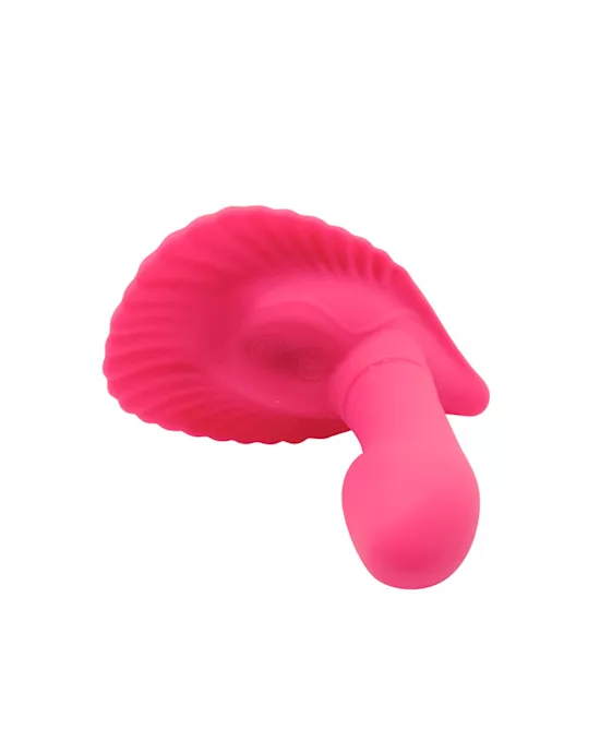 Fancy Clam Shell Vibe