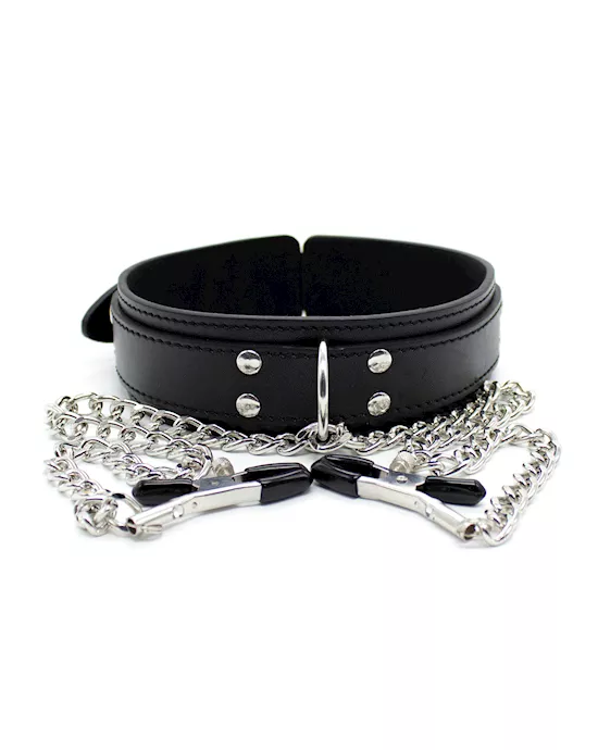 Juicer Collar And Nipple Clamps