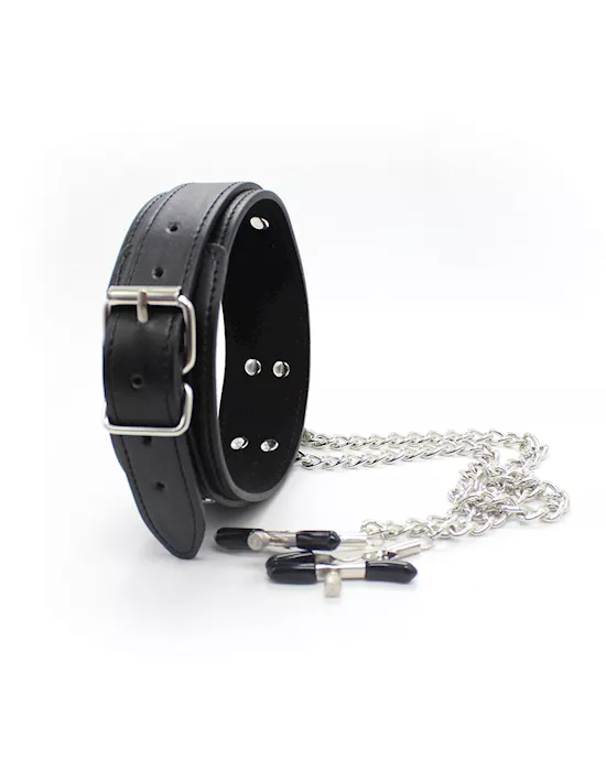 Juicer Collar And Nipple Clamps