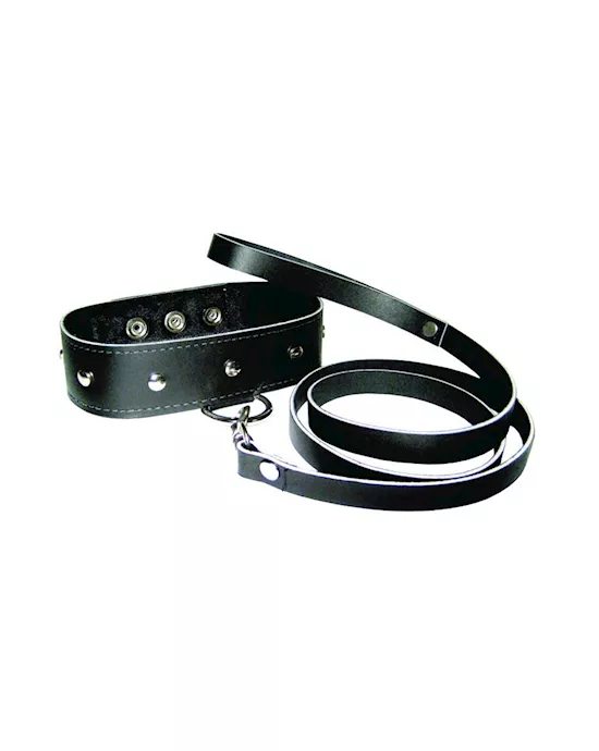 Leather Leash And Collar