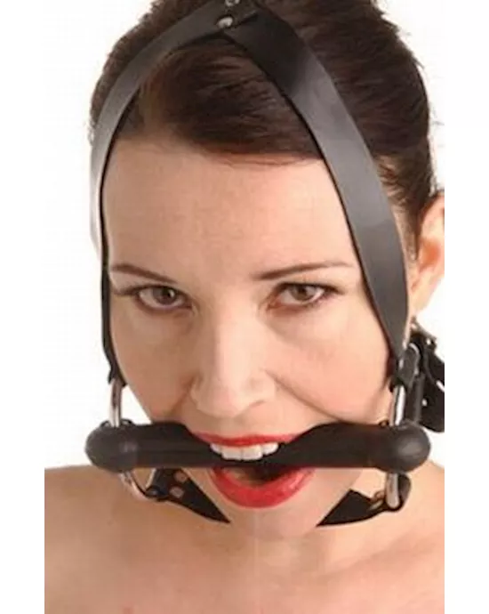 StrictLeatherLockingSiliconeTrainerGag