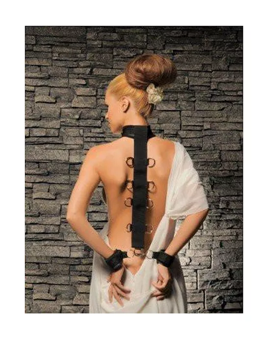 Neck And Wrist Restraint