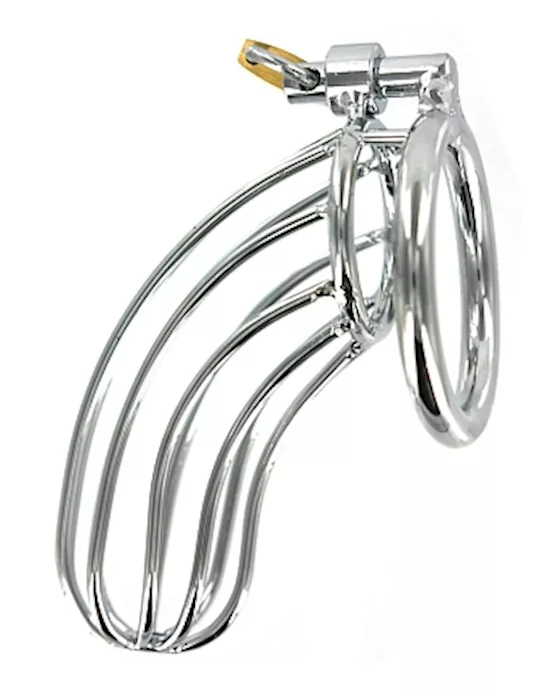 TheBirdCageChastityDevice