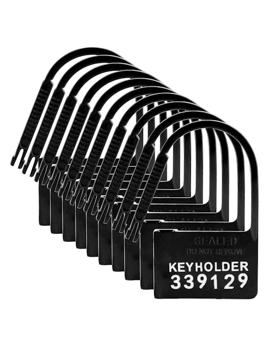 Keyholder10PackNumberedPlasticChastityLocks
