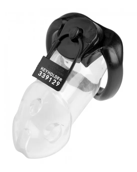 Keyholder 10 Pack Numbered Plastic Chastity Locks