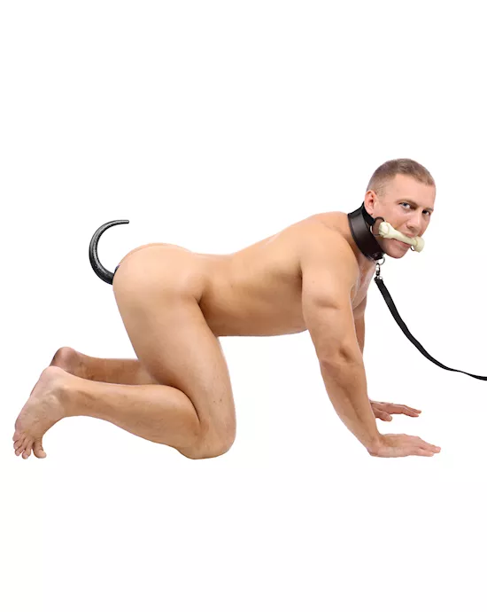 IntrotoPuppyPlay3PieceStarterKit