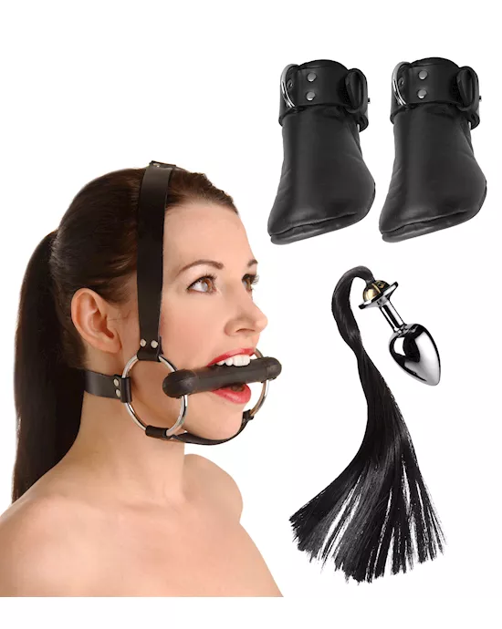 PremiumEquinePonyPlayEssentialsKit