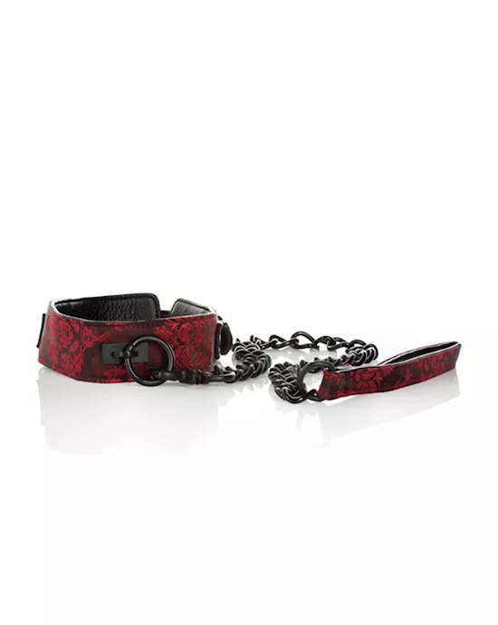 Scandal Collar With Leash