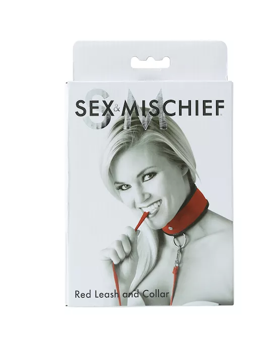 Sportsheets Leash And Collar