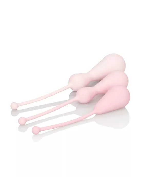 Inspire Weighted Silicone Kegel Training Kit