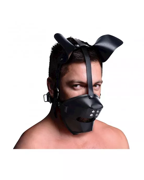 Pup Puppy Play Hood And Breathable Ball Gag