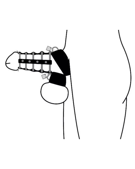 5 Ring Chasity Device