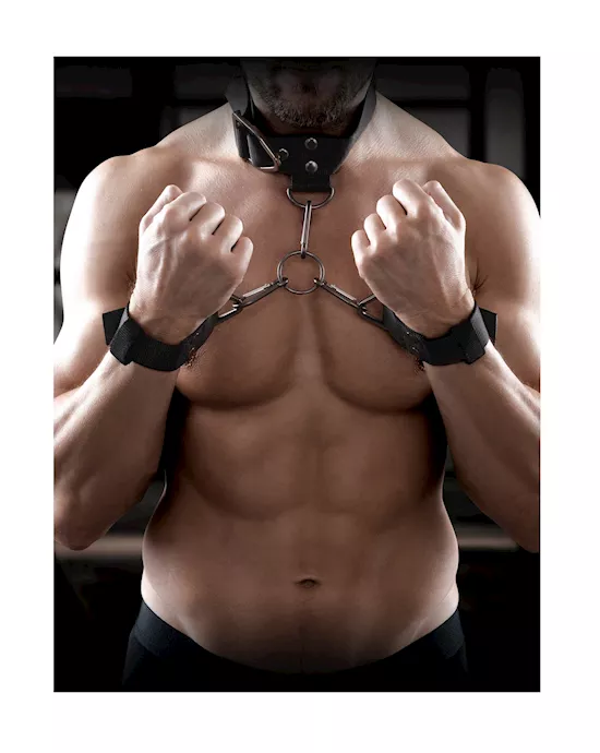 Sir Richards Command Cuff And Collar Set