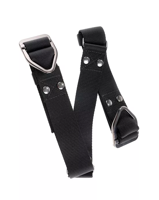 Sir Richards Command Bicep Binder