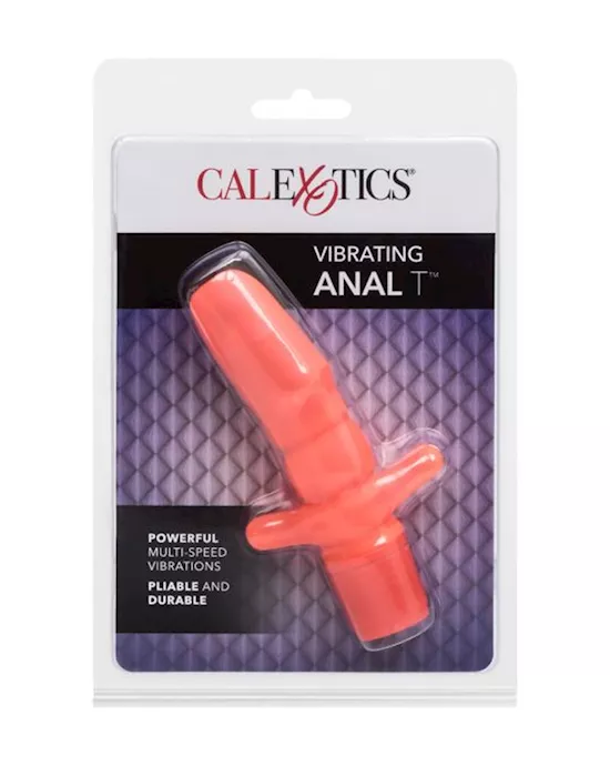 Vibrating Anal T