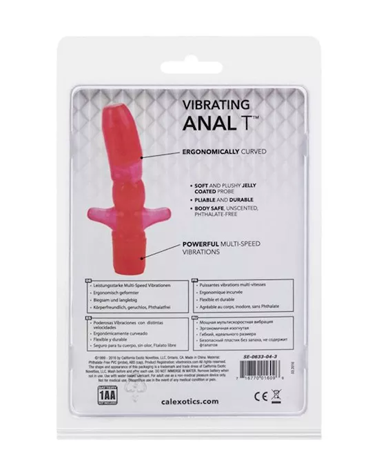 Vibrating Anal T