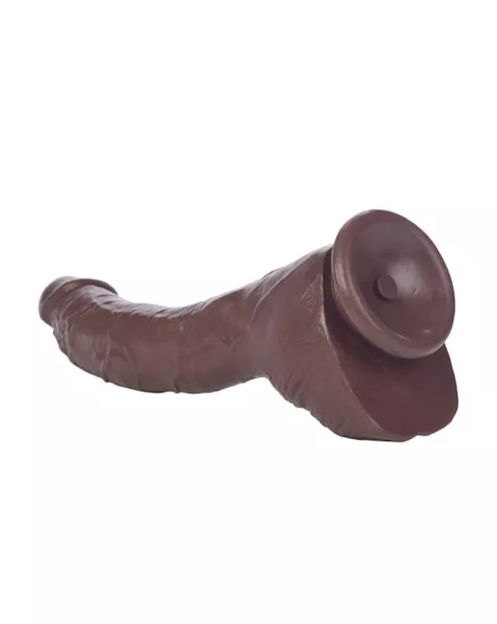 Colt Adam Dexter Cock