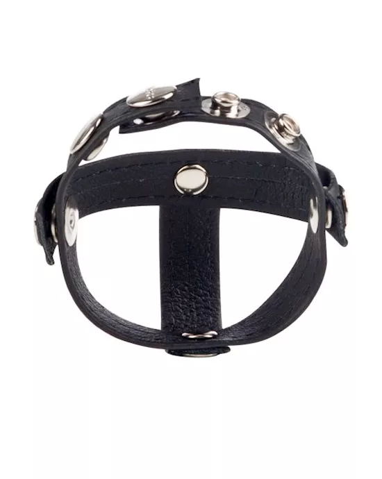 Colt Leather C/b Strap H-piece Divider