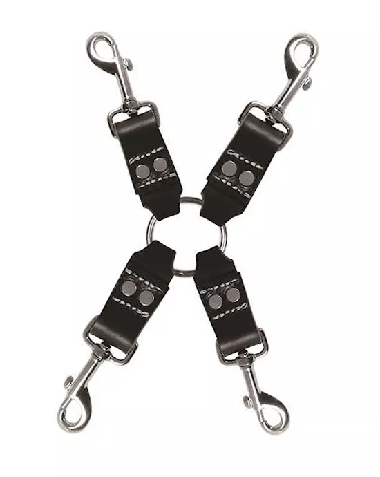 EdgeLeather4PointHogTie