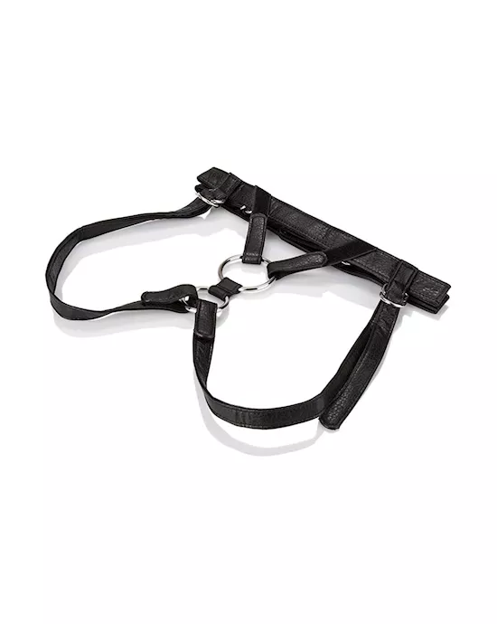 HerRoyalHarnessTheDuchessboxed