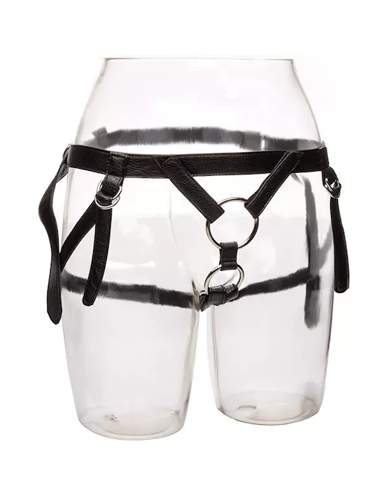 Her Royal Harness The Duchess