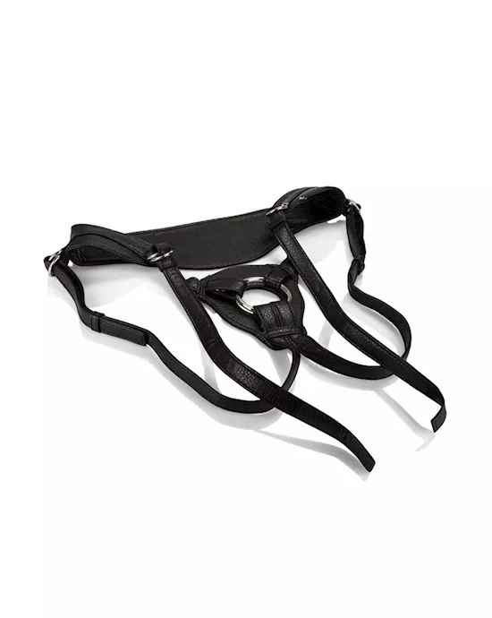 Her Royal Harness The Queen