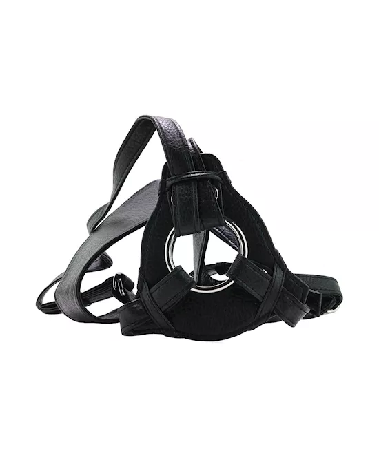 Her Royal Harness The Queen