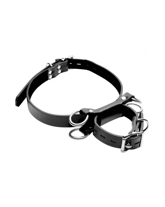 Frog Tie Kneeling Bondage Restraint System