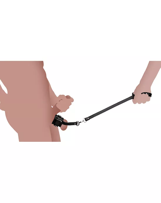 Ball Stretcher With Leash