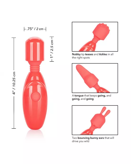 Rechargeable Massager Kit