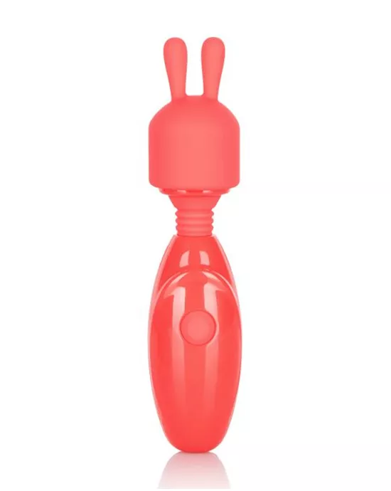 Rechargeable Massager Kit