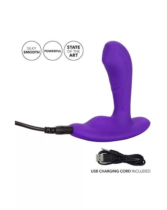 Silicone Remote Pinpoint Pleaser