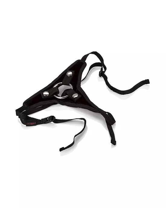 HerRoyalHarnessThePrincess-Boxed