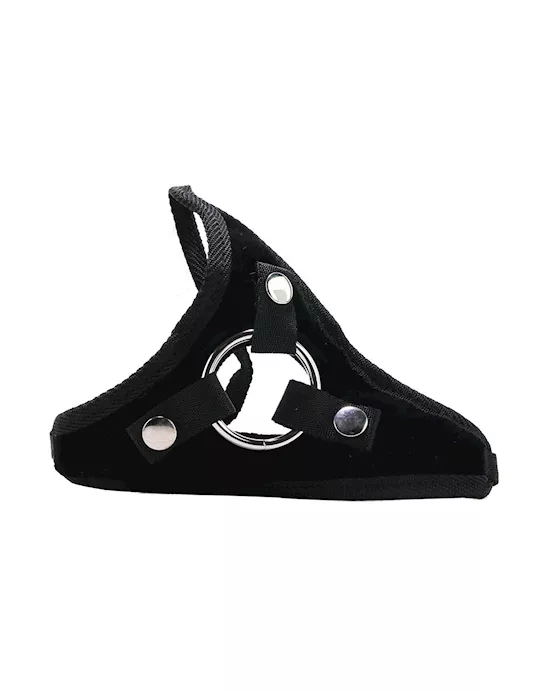 Her Royal Harness -the Princess