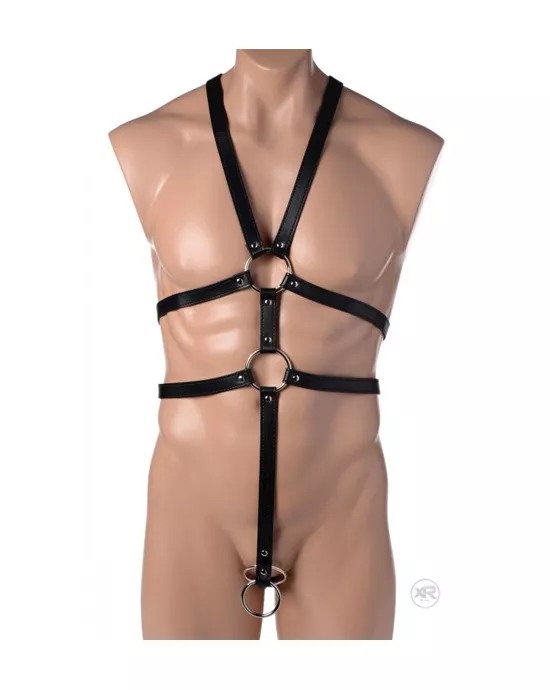 STMaleFullBodyHarness