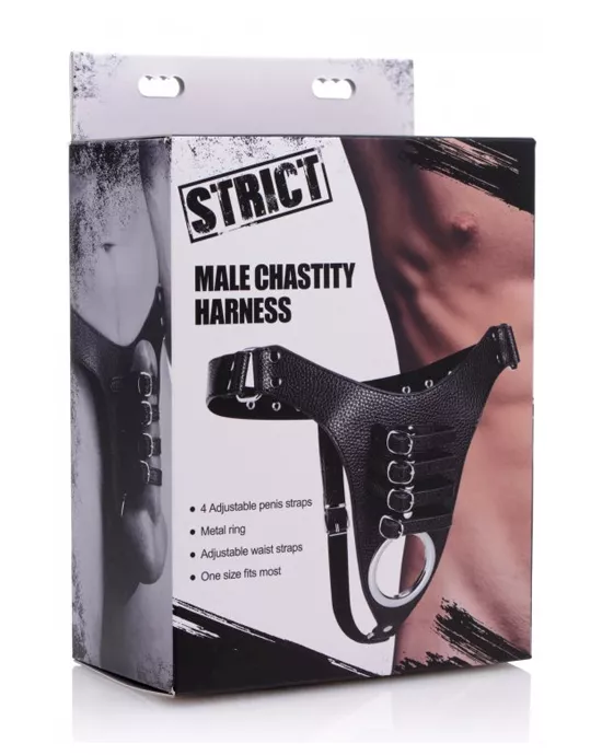 Male Chastity Harness