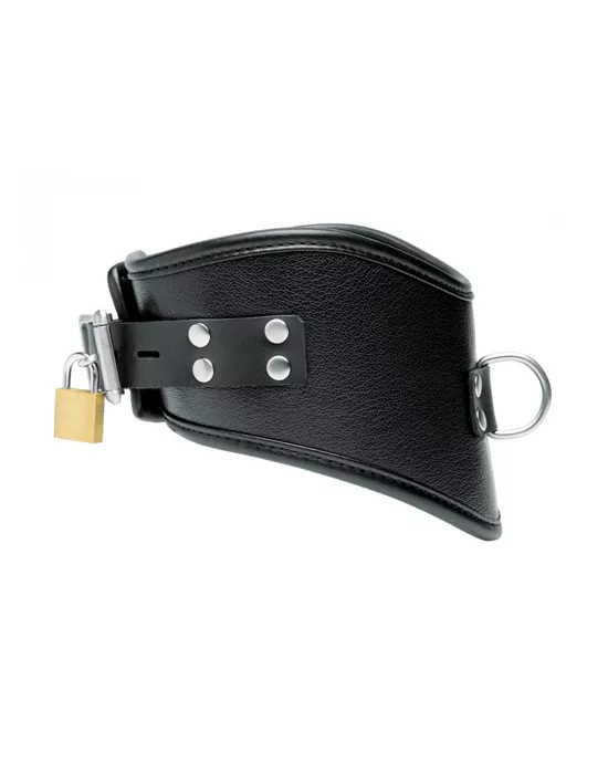 Leather Posture Collar With Leash