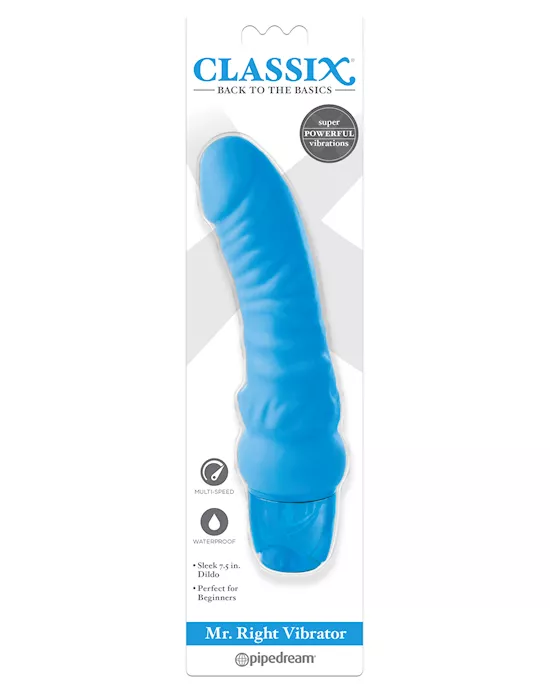 ClassixMrRightVibrator