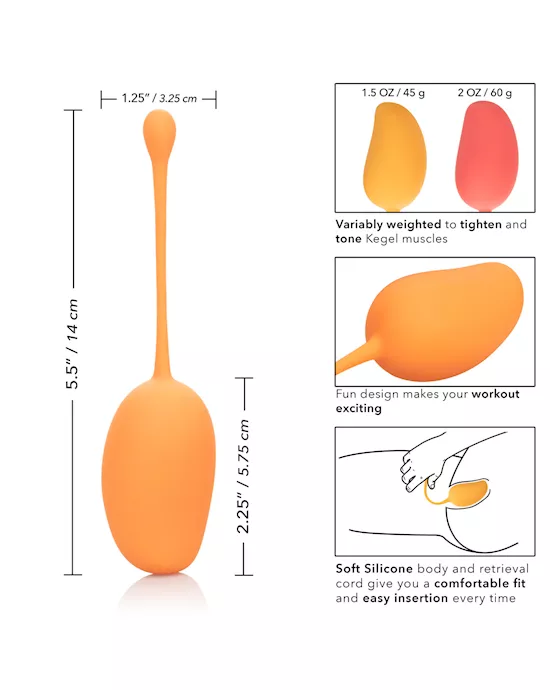 Calexotics Kegel Training Set