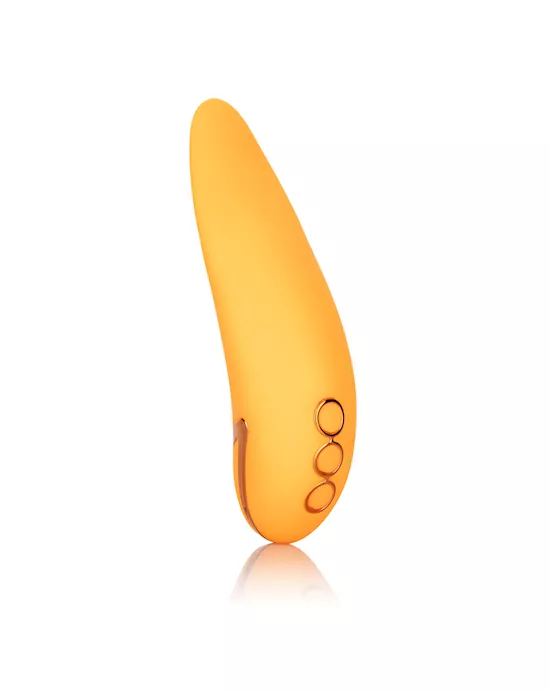 Calexotics California Dreaming Hollywood Hottie