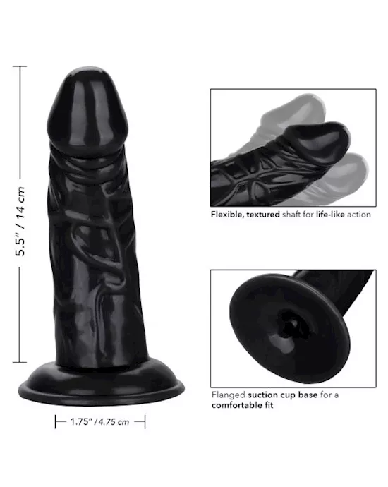 Back End Chubby Suction Cup Dildo
