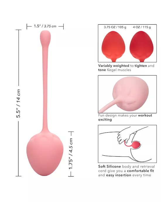 6 Piece Kegel Training Set