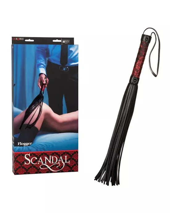 Scandal Flogger  - Bulk