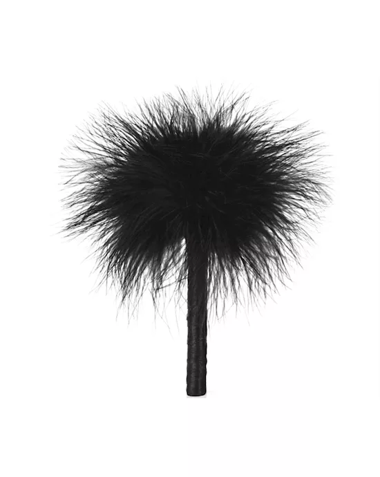 Passion Kit - Chantilly