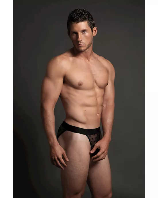 StarBrief