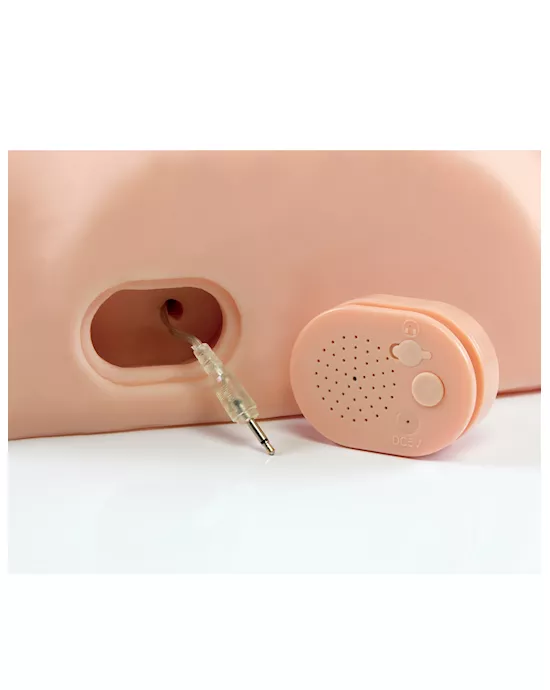 Pdx Male Dirty Talk Interactive Ride Him Silly