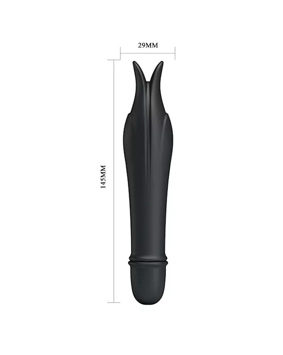 Jeffrey Dolphin Vibe