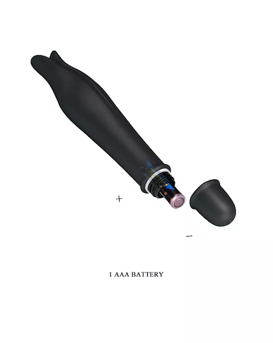 Jeffrey Dolphin Vibe