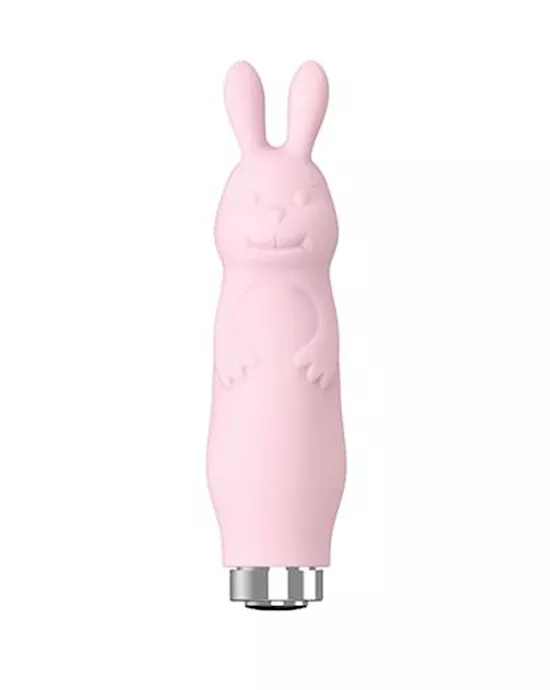ShareSatisfactionBunny
