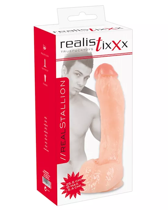 Realistic Real Stallion Dildo